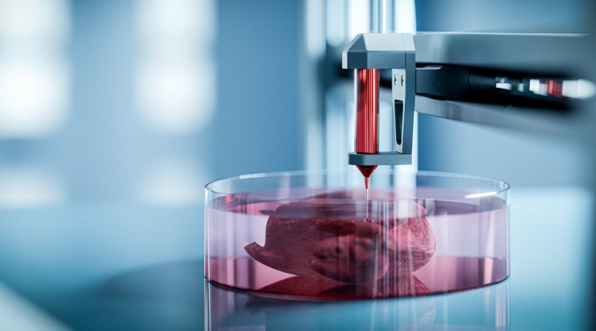 3D Printed Organs